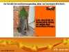 sixt und social media sixt auto web 2.0