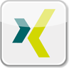 xing icon